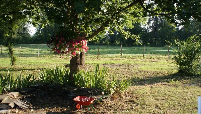Les Longchamps Bed and Breakfast Neuillé Exteriör bild
